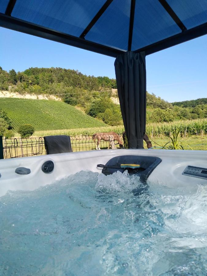 L'Echappee Belle En Champagne Vila Spoy  Exterior foto